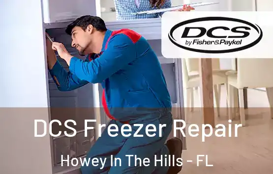  DCS Freezer Repair Howey In The Hills - FL