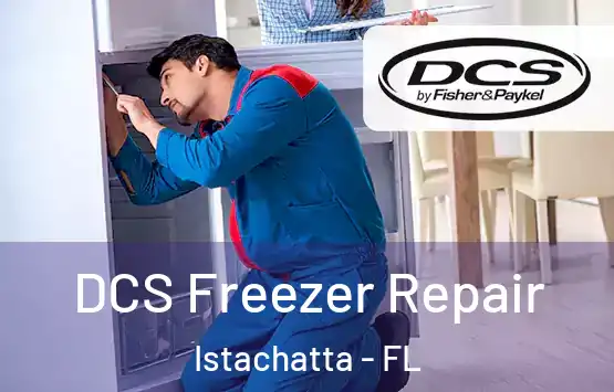  DCS Freezer Repair Istachatta - FL