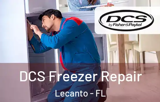  DCS Freezer Repair Lecanto - FL