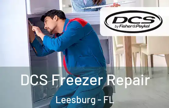  DCS Freezer Repair Leesburg - FL