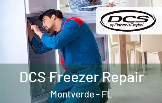  DCS Freezer Repair Montverde - FL