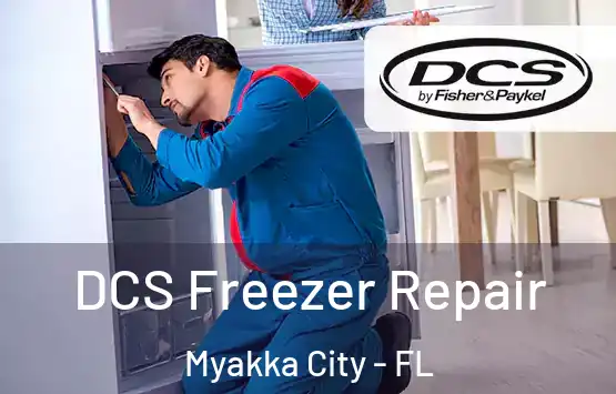  DCS Freezer Repair Myakka City - FL