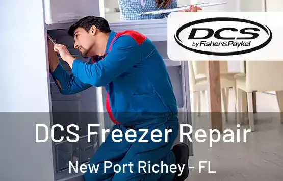  DCS Freezer Repair New Port Richey - FL