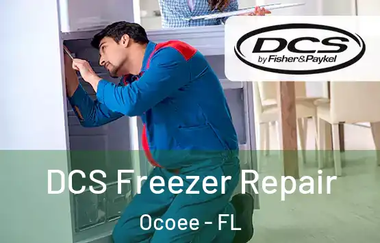  DCS Freezer Repair Ocoee - FL