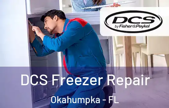  DCS Freezer Repair Okahumpka - FL