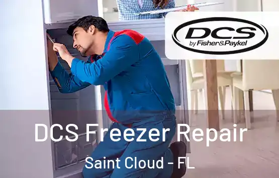  DCS Freezer Repair Saint Cloud - FL