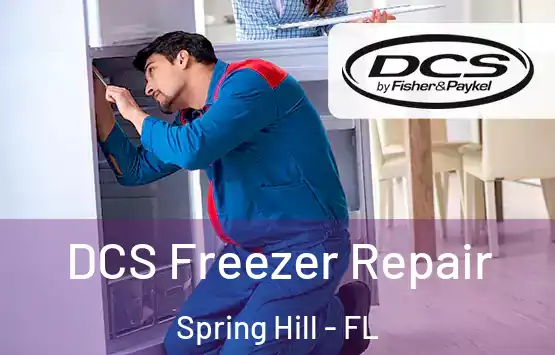  DCS Freezer Repair Spring Hill - FL