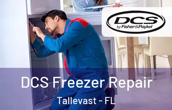  DCS Freezer Repair Tallevast - FL