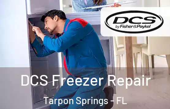 DCS Freezer Repair Tarpon Springs - FL