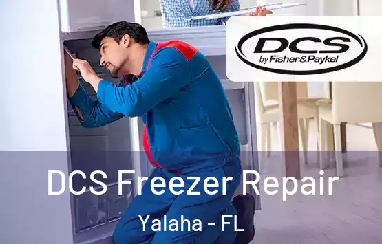  DCS Freezer Repair Yalaha - FL
