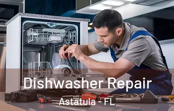  Dishwasher Repair Astatula - FL