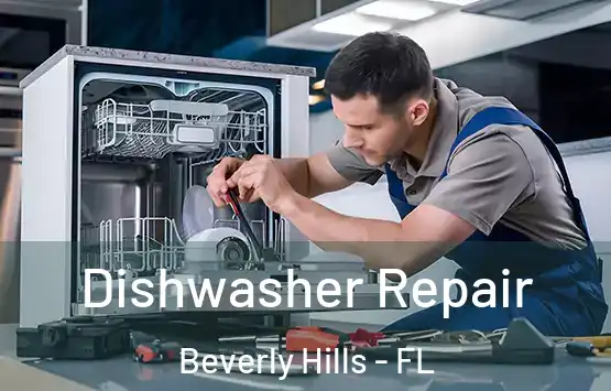  Dishwasher Repair Beverly Hills - FL