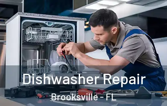  Dishwasher Repair Brooksville - FL