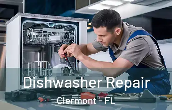 Dishwasher Repair Clermont - FL