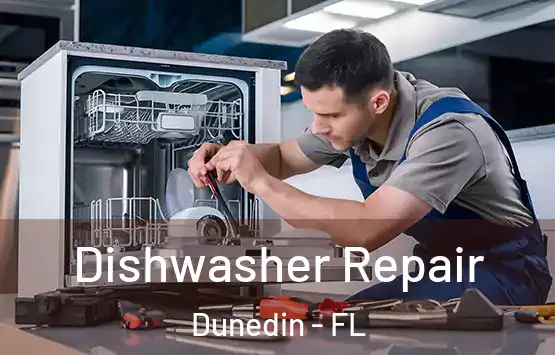  Dishwasher Repair Dunedin - FL