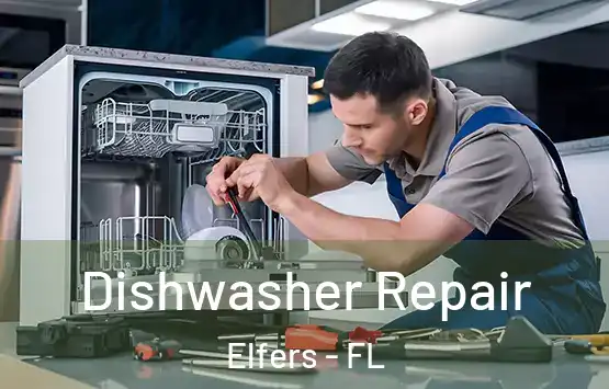  Dishwasher Repair Elfers - FL