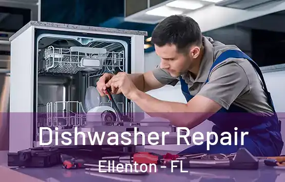  Dishwasher Repair Ellenton - FL