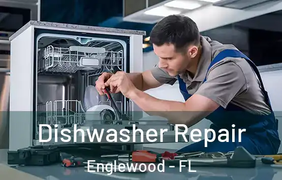  Dishwasher Repair Englewood - FL