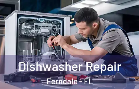  Dishwasher Repair Ferndale - FL