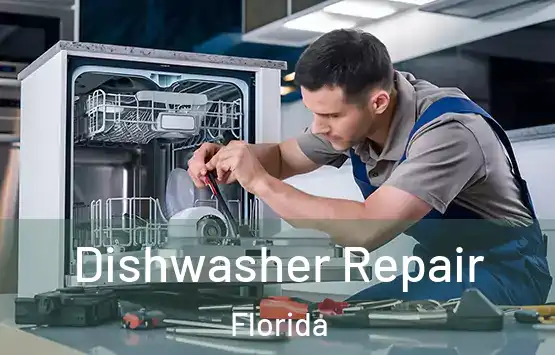  Dishwasher Repair Florida