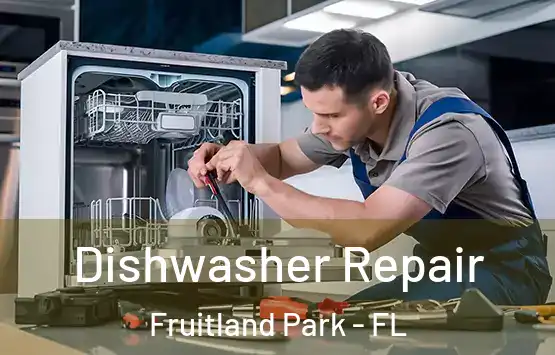  Dishwasher Repair Fruitland Park - FL