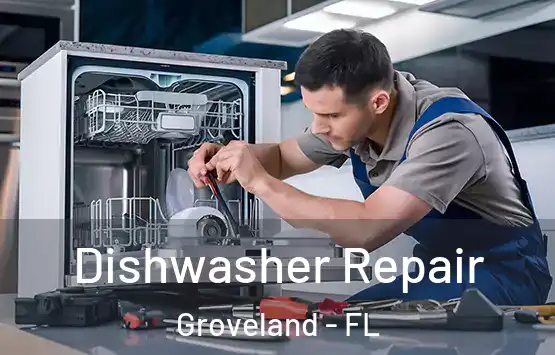  Dishwasher Repair Groveland - FL
