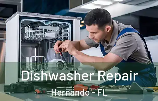  Dishwasher Repair Hernando - FL
