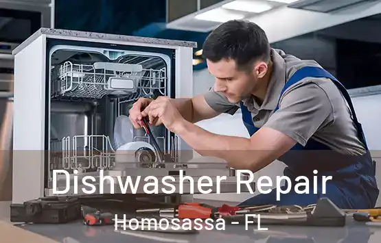  Dishwasher Repair Homosassa - FL
