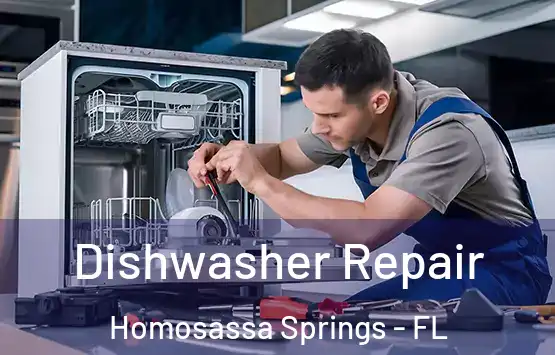 Dishwasher Repair Homosassa Springs - FL