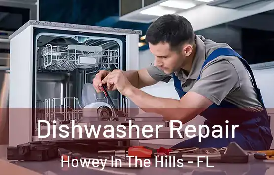  Dishwasher Repair Howey In The Hills - FL