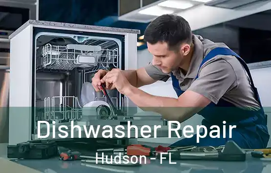 Dishwasher Repair Hudson - FL