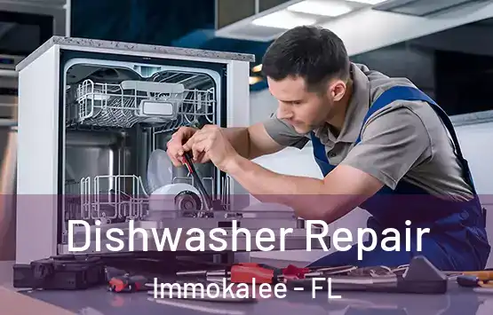  Dishwasher Repair Immokalee - FL