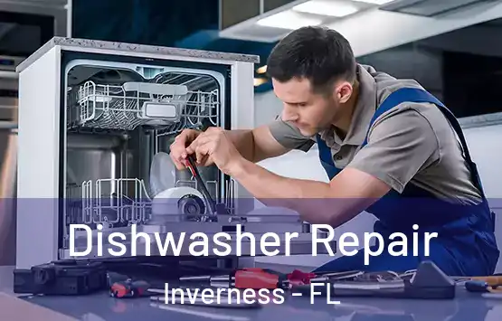  Dishwasher Repair Inverness - FL