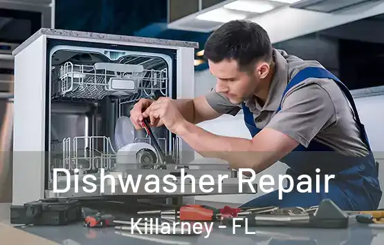  Dishwasher Repair Killarney - FL