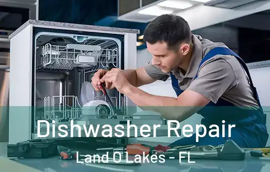  Dishwasher Repair Land O Lakes - FL