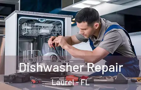  Dishwasher Repair Laurel - FL