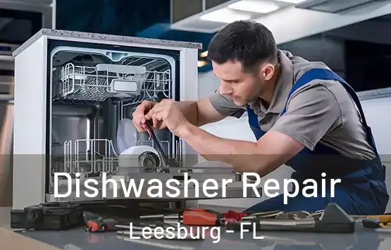 Dishwasher Repair Leesburg - FL