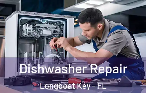  Dishwasher Repair Longboat Key - FL