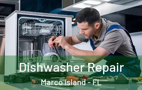  Dishwasher Repair Marco Island - FL