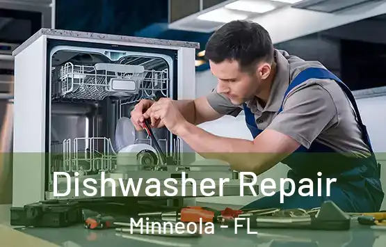  Dishwasher Repair Minneola - FL