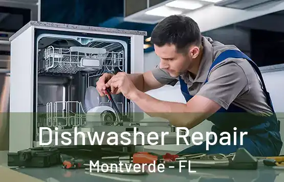  Dishwasher Repair Montverde - FL