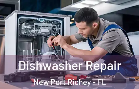  Dishwasher Repair New Port Richey - FL