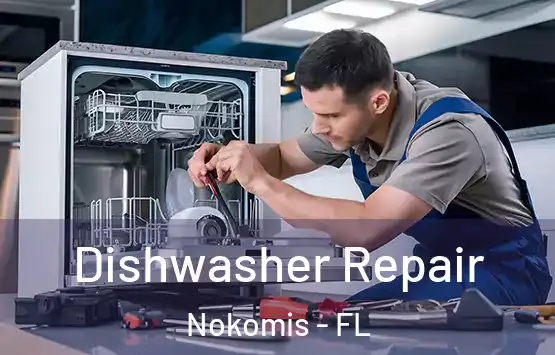  Dishwasher Repair Nokomis - FL
