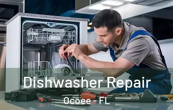  Dishwasher Repair Ocoee - FL