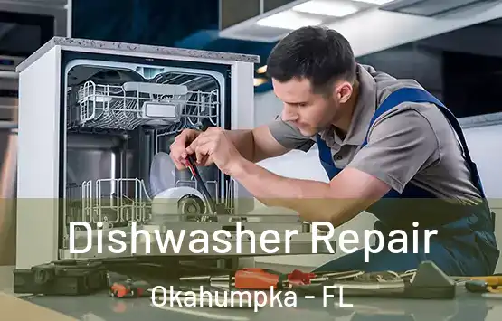  Dishwasher Repair Okahumpka - FL