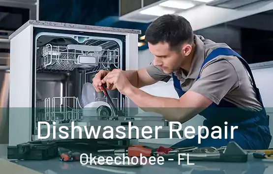  Dishwasher Repair Okeechobee - FL