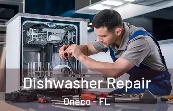  Dishwasher Repair Oneco - FL