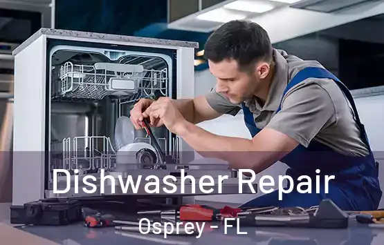  Dishwasher Repair Osprey - FL