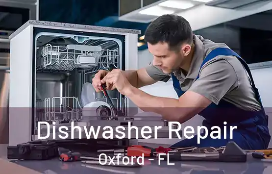  Dishwasher Repair Oxford - FL