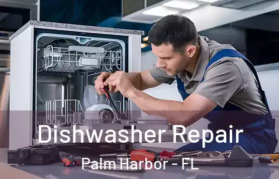  Dishwasher Repair Palm Harbor - FL